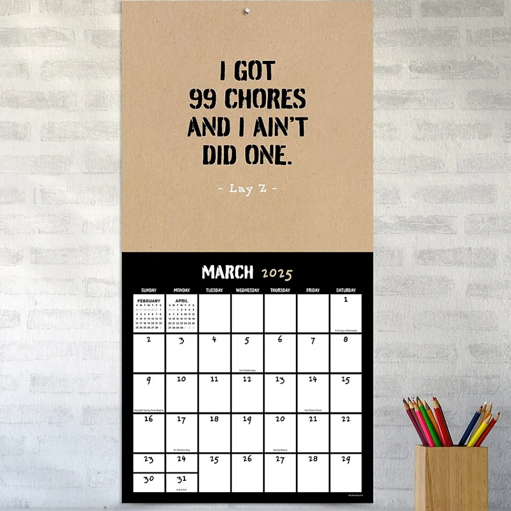 2025 Calendars|TF Publishing 2025 Anti-Affirmations 12" x 12" Monthly Wall Calendar (25-1100)