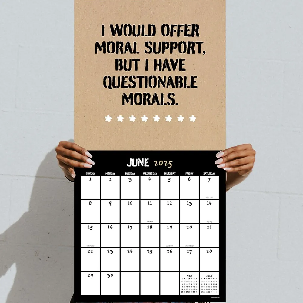 2025 Calendars|TF Publishing 2025 Anti-Affirmations 12" x 12" Monthly Wall Calendar (25-1100)