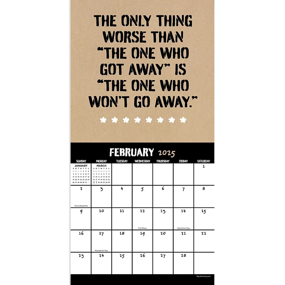 2025 Calendars|TF Publishing 2025 Anti-Affirmations & Sarcasm 7" x 7" Monthly Wall Calendar (25-2100)