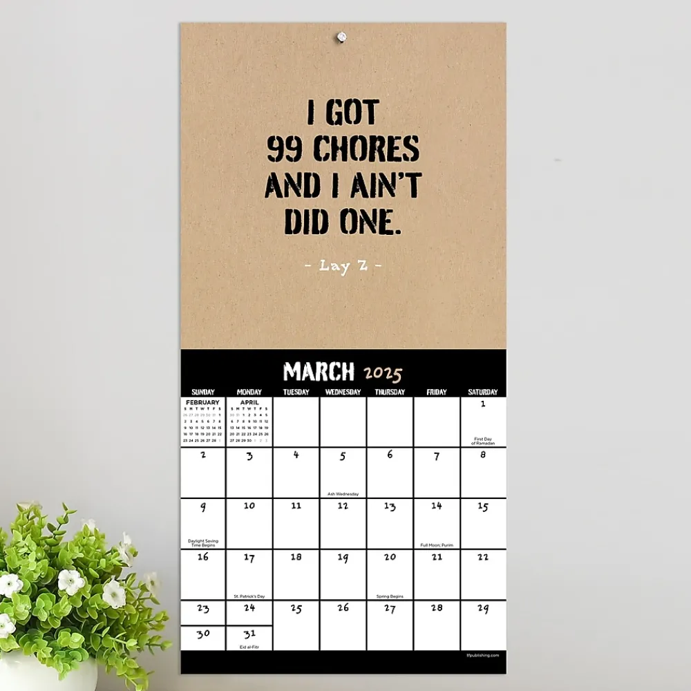 2025 Calendars|TF Publishing 2025 Anti-Affirmations & Sarcasm 7" x 7" Monthly Wall Calendar (25-2100)