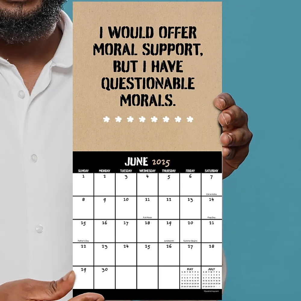 2025 Calendars|TF Publishing 2025 Anti-Affirmations & Sarcasm 7" x 7" Monthly Wall Calendar (25-2100)
