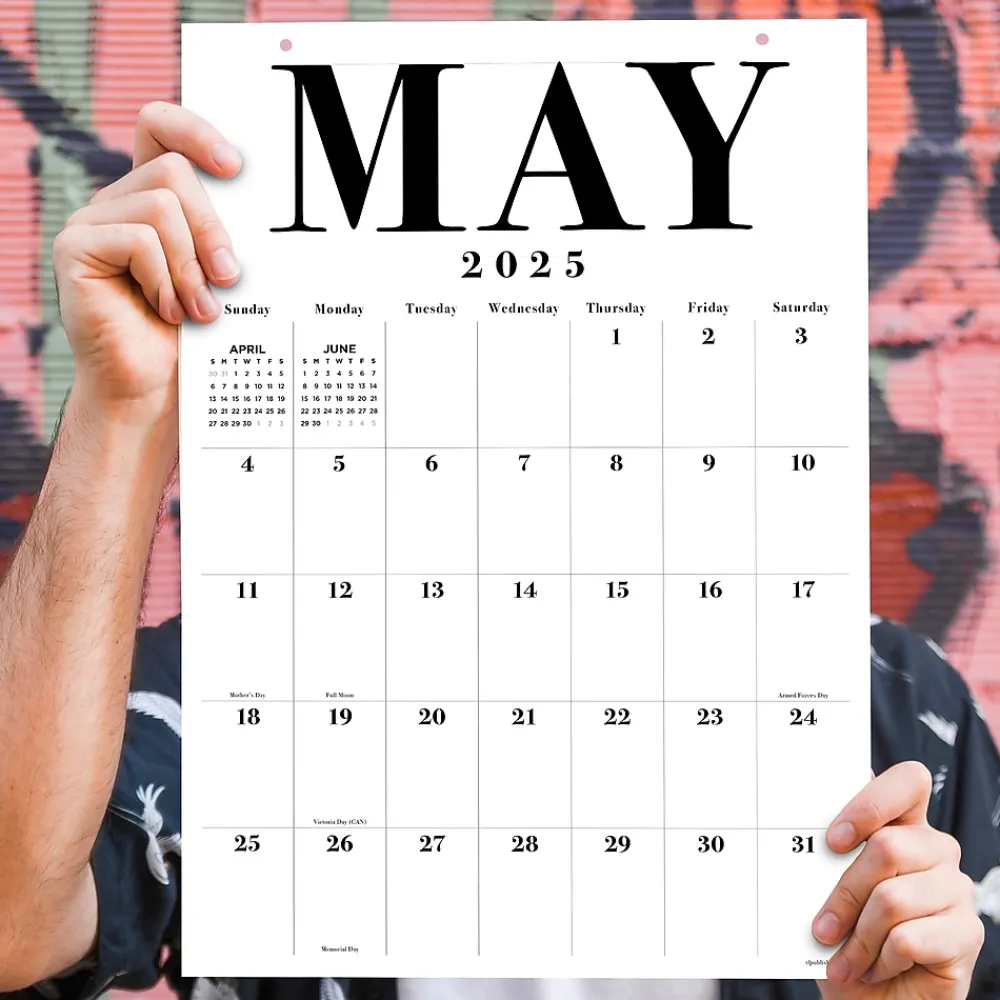 2025 Calendars|TF Publishing 2025 Art Poster 17" x 12" Monthly Wall Calendar (25-8512)