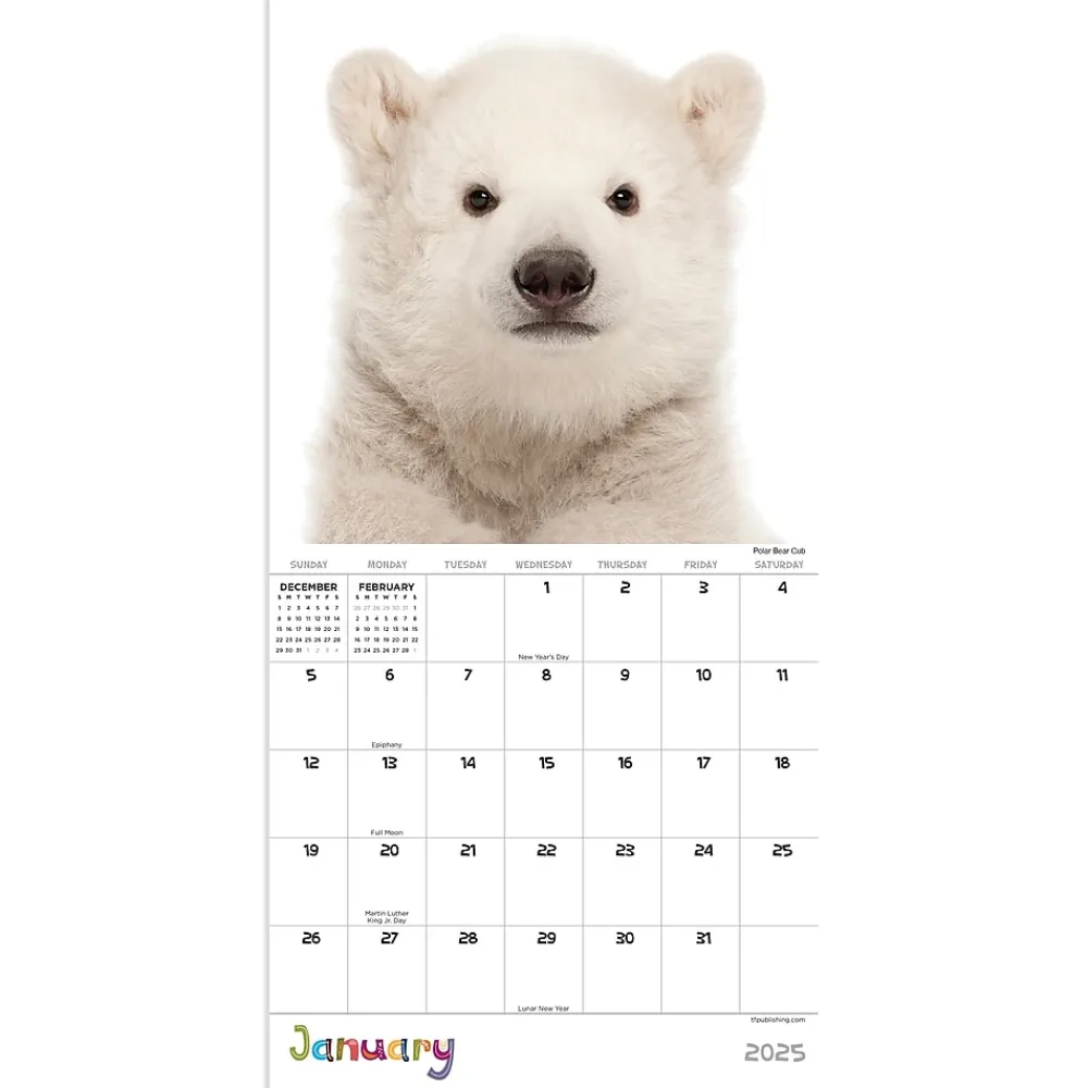 2025 Calendars|TF Publishing 2025 Baby Animals 7" x 7" Monthly Wall Calendar (25-2000)