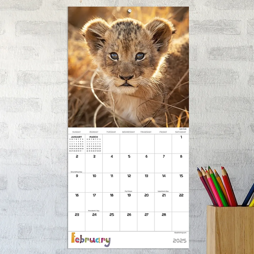 2025 Calendars|TF Publishing 2025 Baby Animals 7" x 7" Monthly Wall Calendar (25-2000)