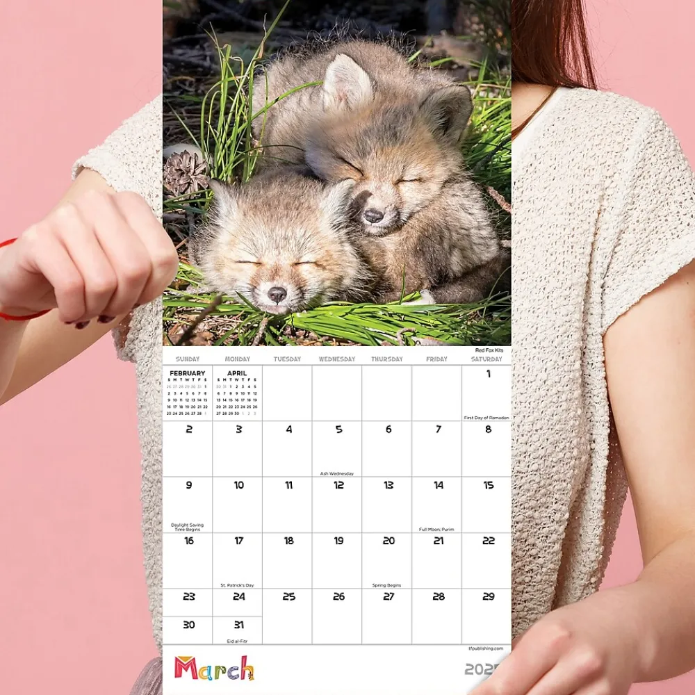 2025 Calendars|TF Publishing 2025 Baby Animals 7" x 7" Monthly Wall Calendar (25-2000)