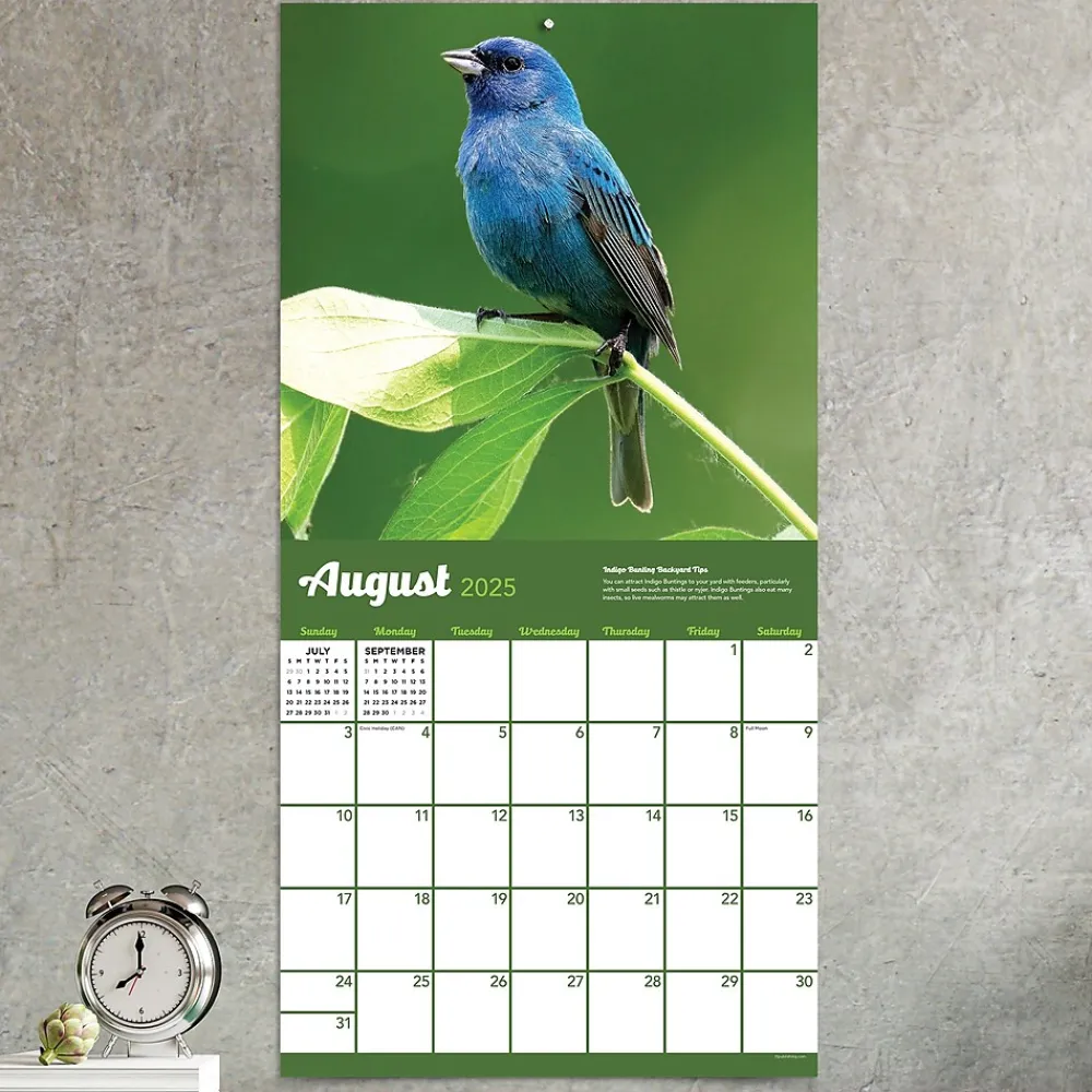 2025 Calendars|TF Publishing 2025 Backyard Birds 12" x 12" Monthly Wall Calendar (25-1033)