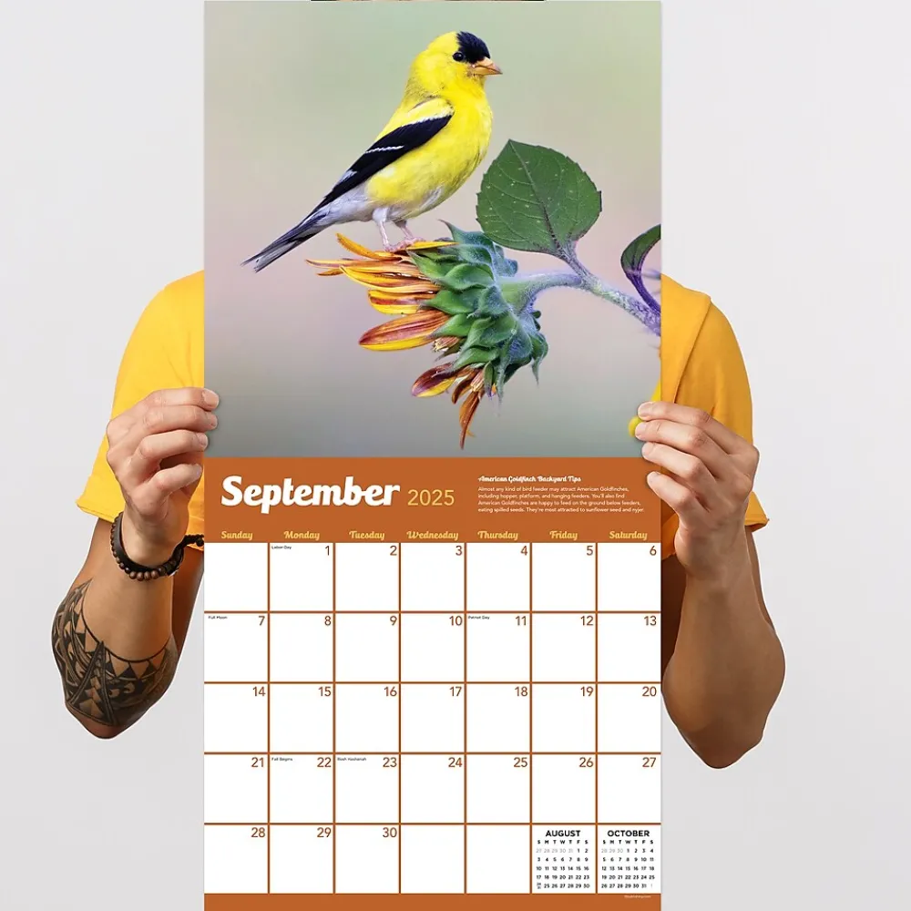 2025 Calendars|TF Publishing 2025 Backyard Birds 12" x 12" Monthly Wall Calendar (25-1033)