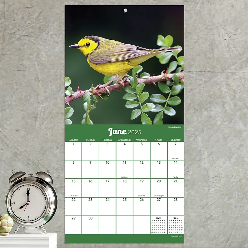 2025 Calendars|TF Publishing 2025 Backyard Birds 7" x 7" Monthly Wall Calendar (25-2013)
