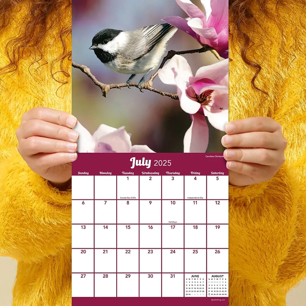 2025 Calendars|TF Publishing 2025 Backyard Birds 7" x 7" Monthly Wall Calendar (25-2013)