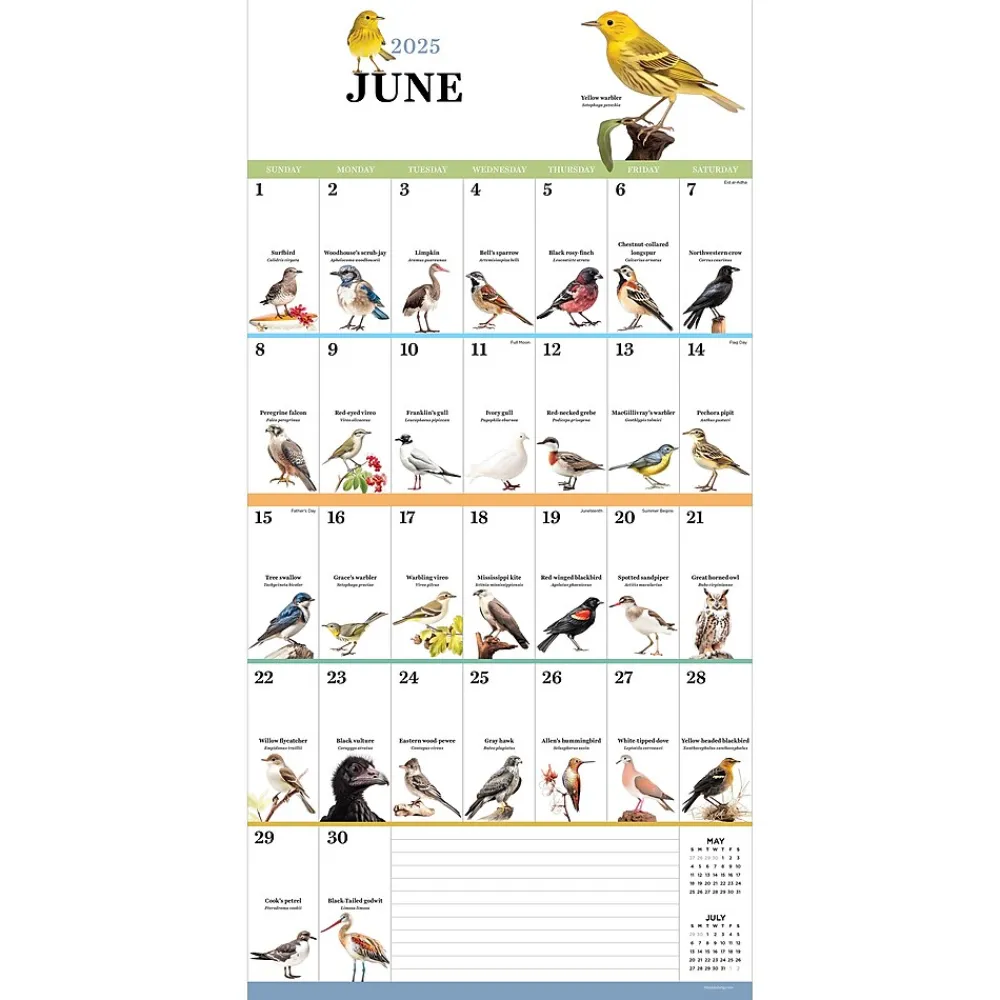 2025 Calendars|TF Publishing 2025 Birds: Backyard and Beyond 12" x 12" Monthly Wall Calendar (25-1121)