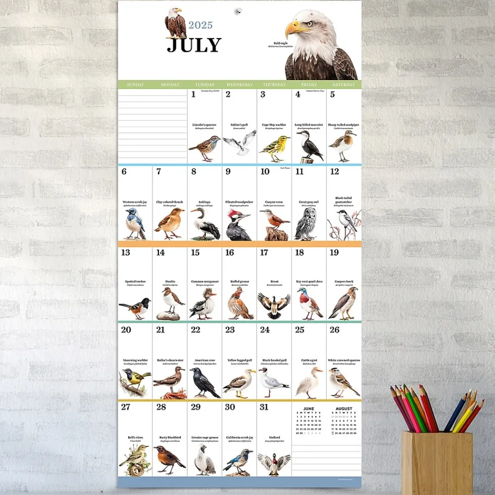 2025 Calendars|TF Publishing 2025 Birds: Backyard and Beyond 12" x 12" Monthly Wall Calendar (25-1121)