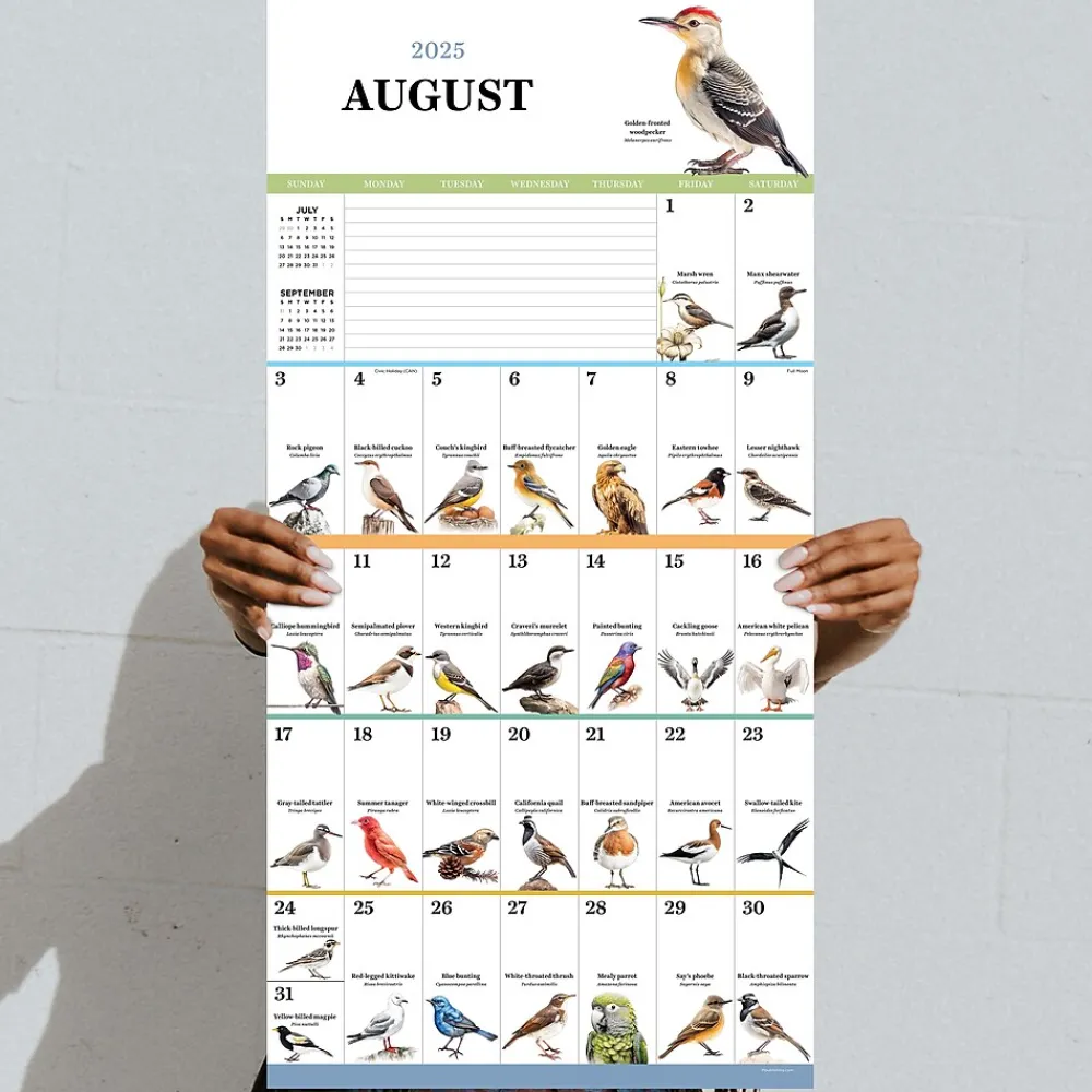 2025 Calendars|TF Publishing 2025 Birds: Backyard and Beyond 12" x 12" Monthly Wall Calendar (25-1121)