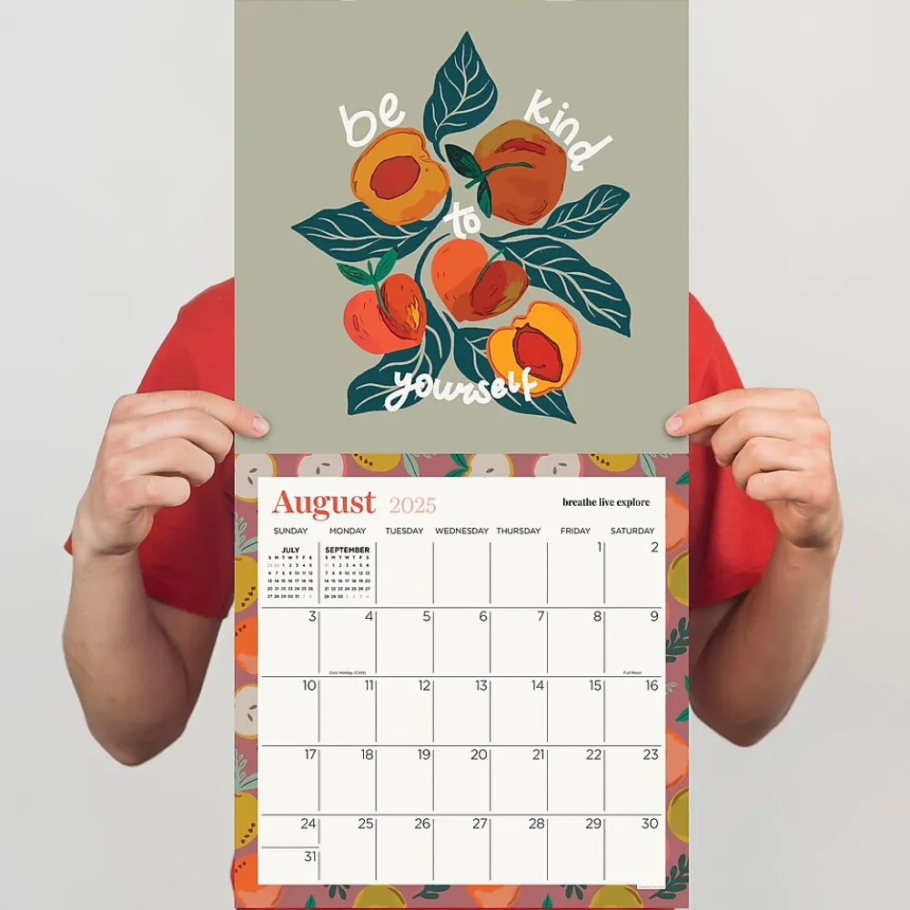 2025 Calendars|TF Publishing 2025 Breathe Live Explore 12" x 12" Monthly Wall Calendar (25-1124)