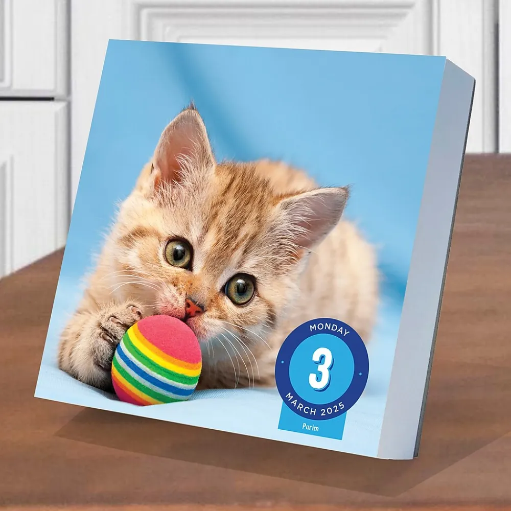 2025 Calendars|TF Publishing 2025 Cat A Day 5.25" x 5.25" Day-to-Day Calendar (25-3002)