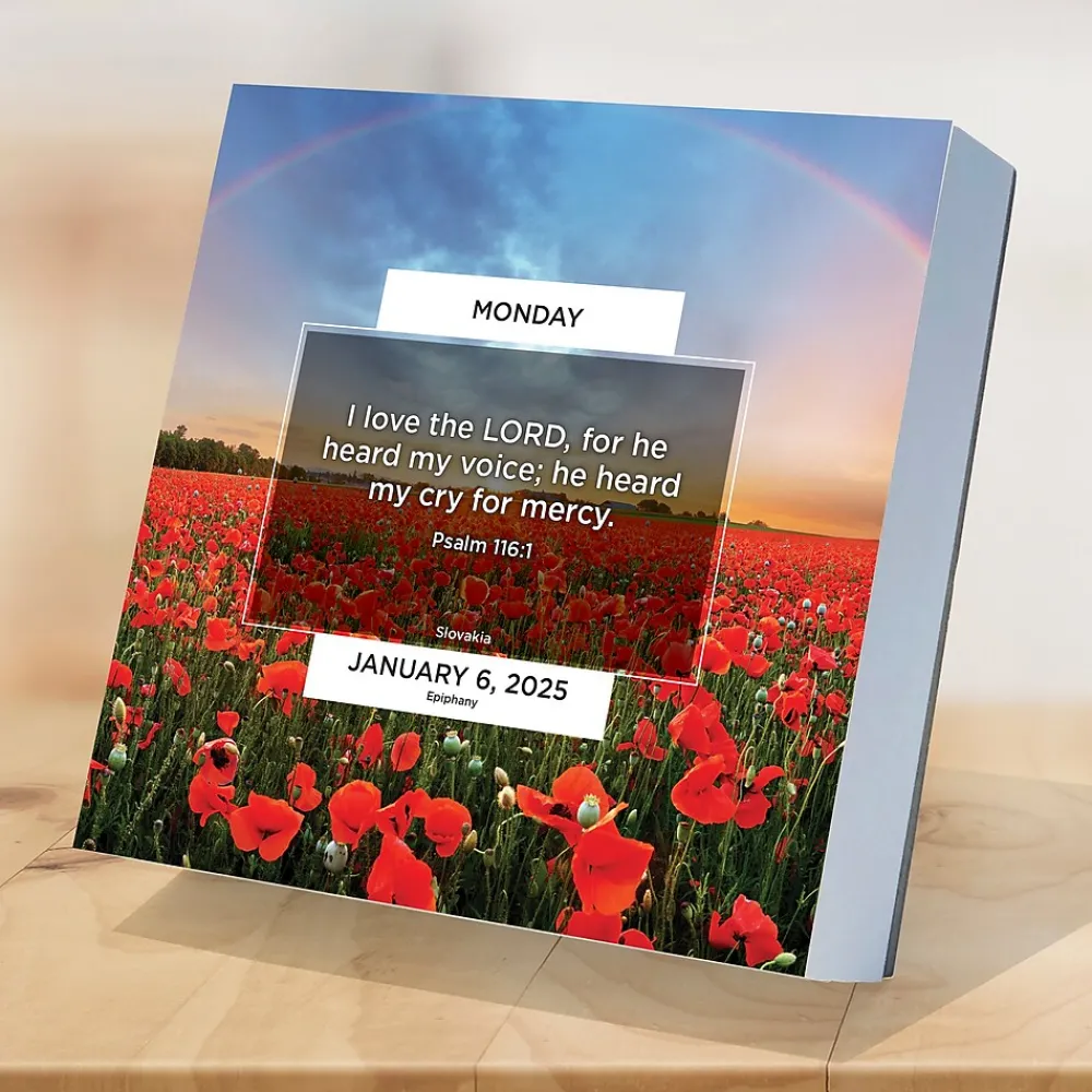 2025 Calendars|TF Publishing 2025 Daily Verse 5.25" x 5.25" Day-to-Day Calendar (25-3006)