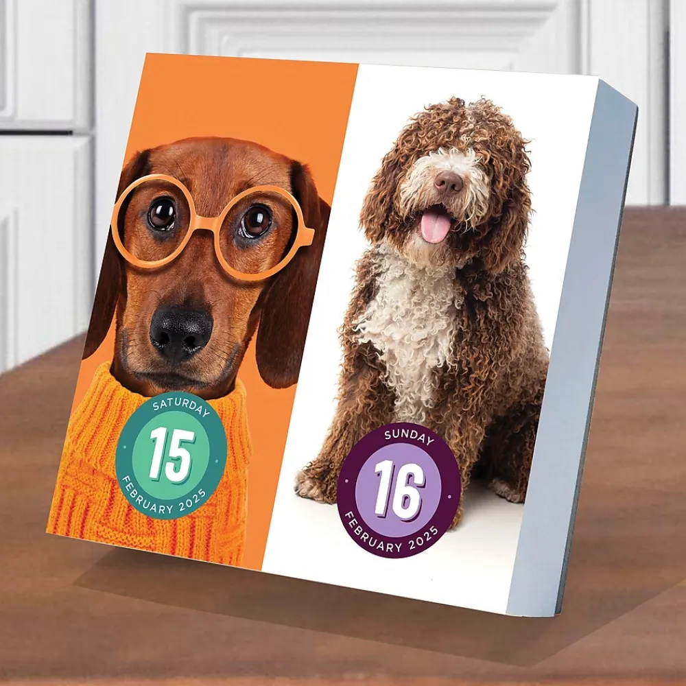 2025 Calendars|TF Publishing 2025 Dog A Day 5.25" x 5.25" Day-to-Day Calendar (25-3008)
