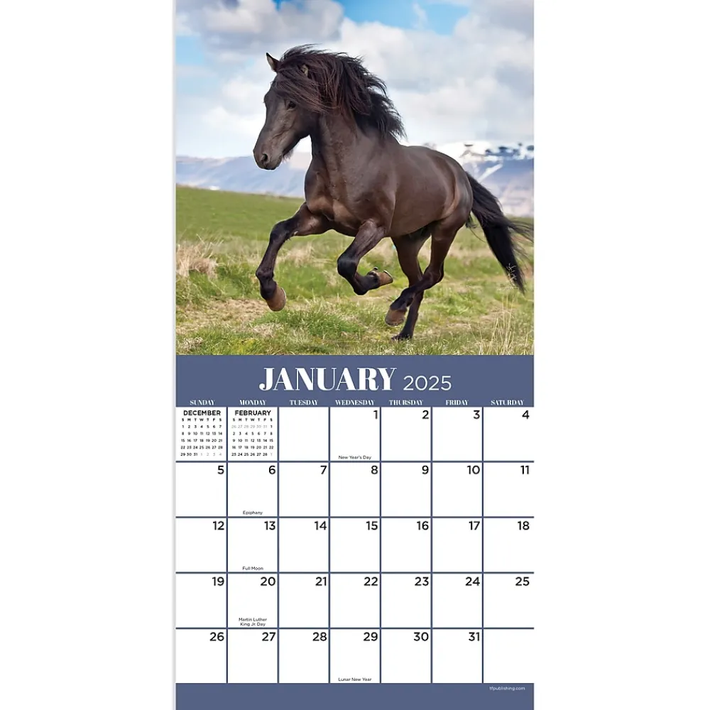 2025 Calendars|TF Publishing 2025 Horses 7" x 7" Monthly Wall Calendar (25-2001)