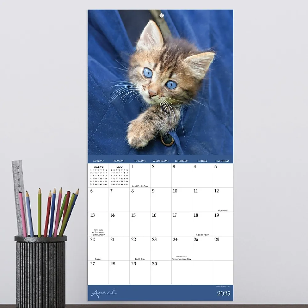 2025 Calendars|TF Publishing 2025 Kittens 7" x 7" Monthly Wall Calendar (25-2002)