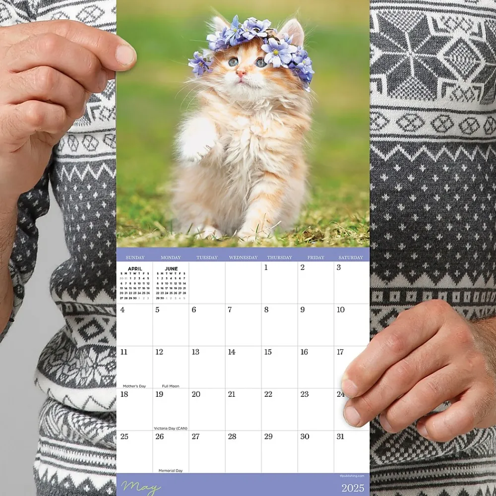 2025 Calendars|TF Publishing 2025 Kittens 7" x 7" Monthly Wall Calendar (25-2002)
