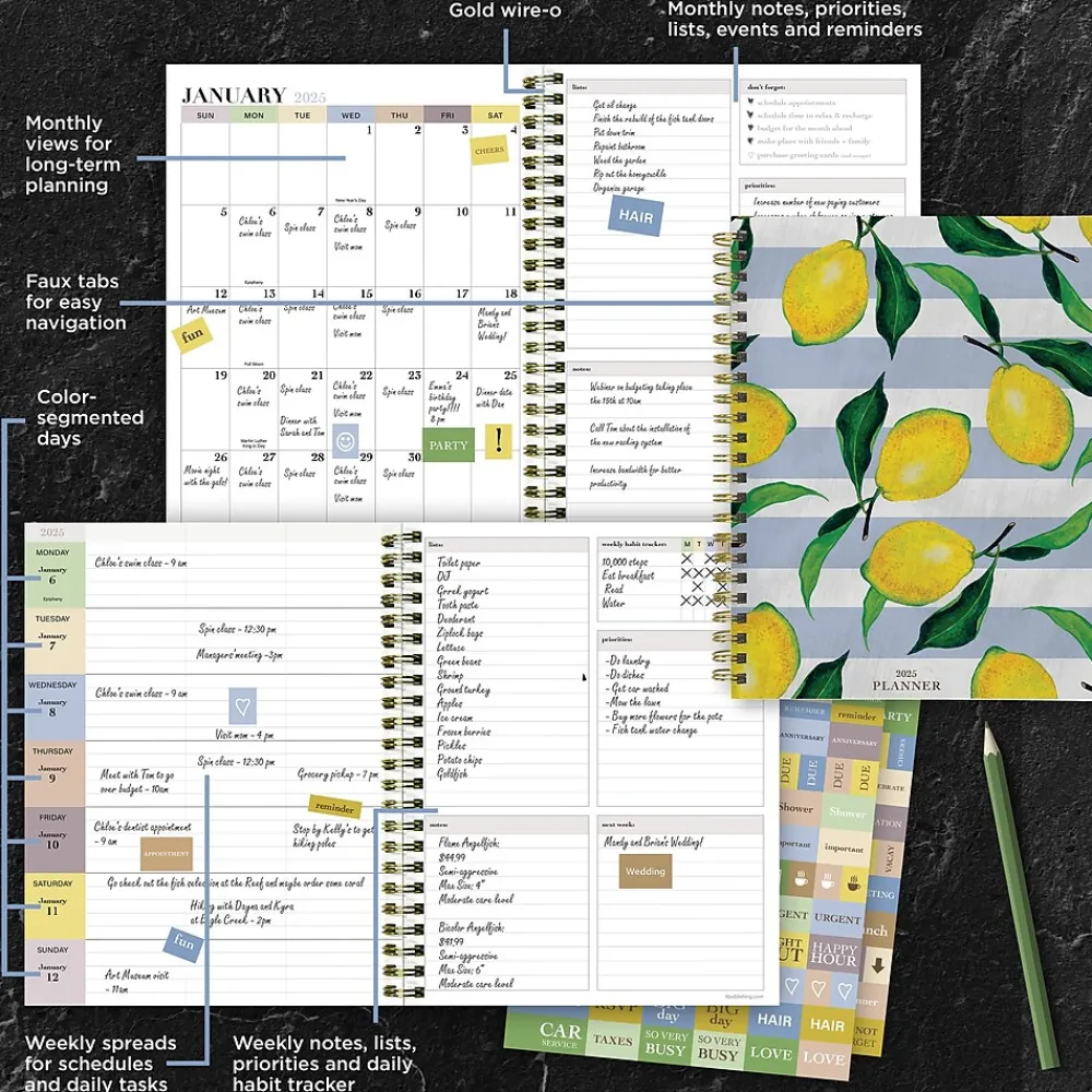 2025 Planners|TF Publishing 2025 Lemons of Capri 6.5" x 8" Weekly & Monthly Planner, Paperboard Cover, Multicolor (25-9208)