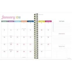 2025 Planners|TF Publishing 2025 Malibu Stripes 6.5" x 8" Weekly & Monthly Planner, Paperboard Cover, Multicolor (25-9216)