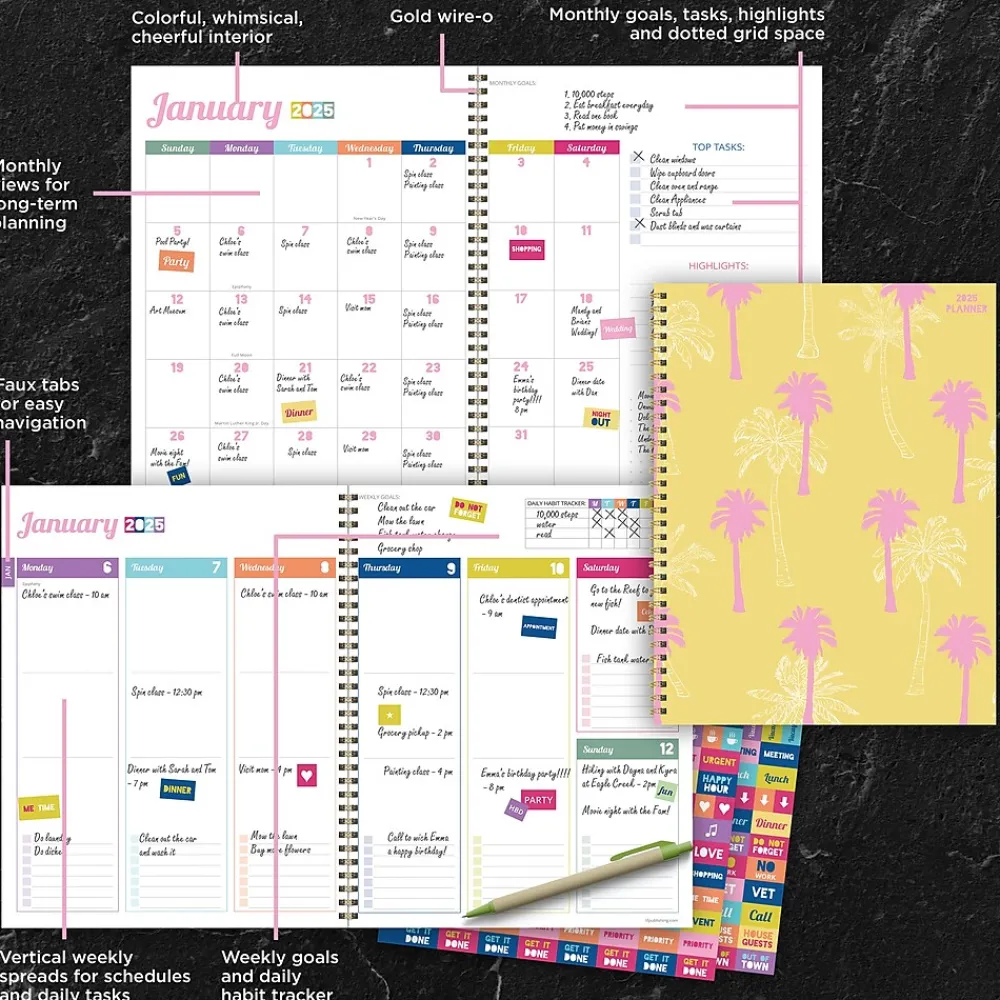 2025 Planners|TF Publishing 2025 Palms & Sunshine 9" x 11" Weekly & Monthly Planner, Paperboard Cover, Multicolored (25-9716)