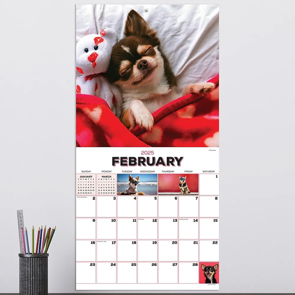 2025 Calendars|TF Publishing 2025 Puppies 12" x 12" Monthly Wall Calendar (25-1025)