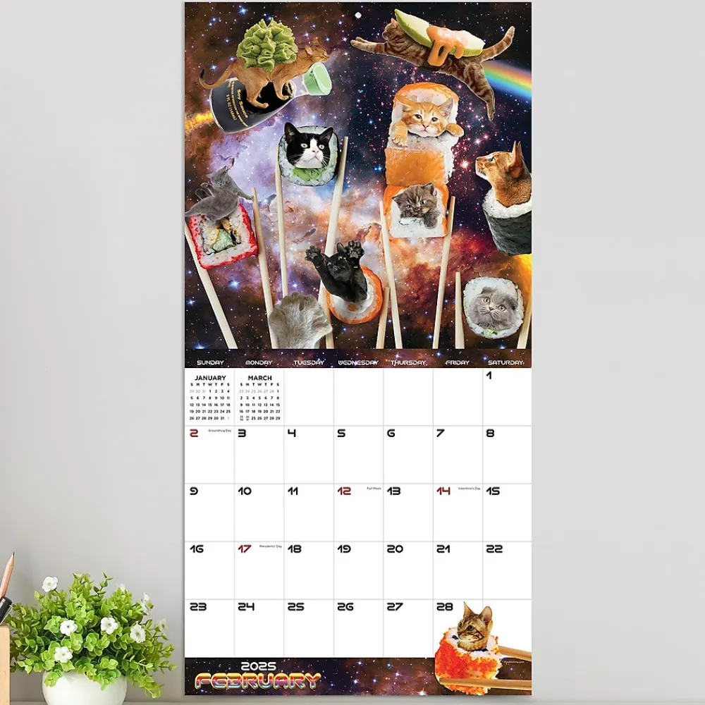 2025 Calendars|TF Publishing 2025 Space Cats 12" x 12" Monthly Wall Calendar (25-1026)