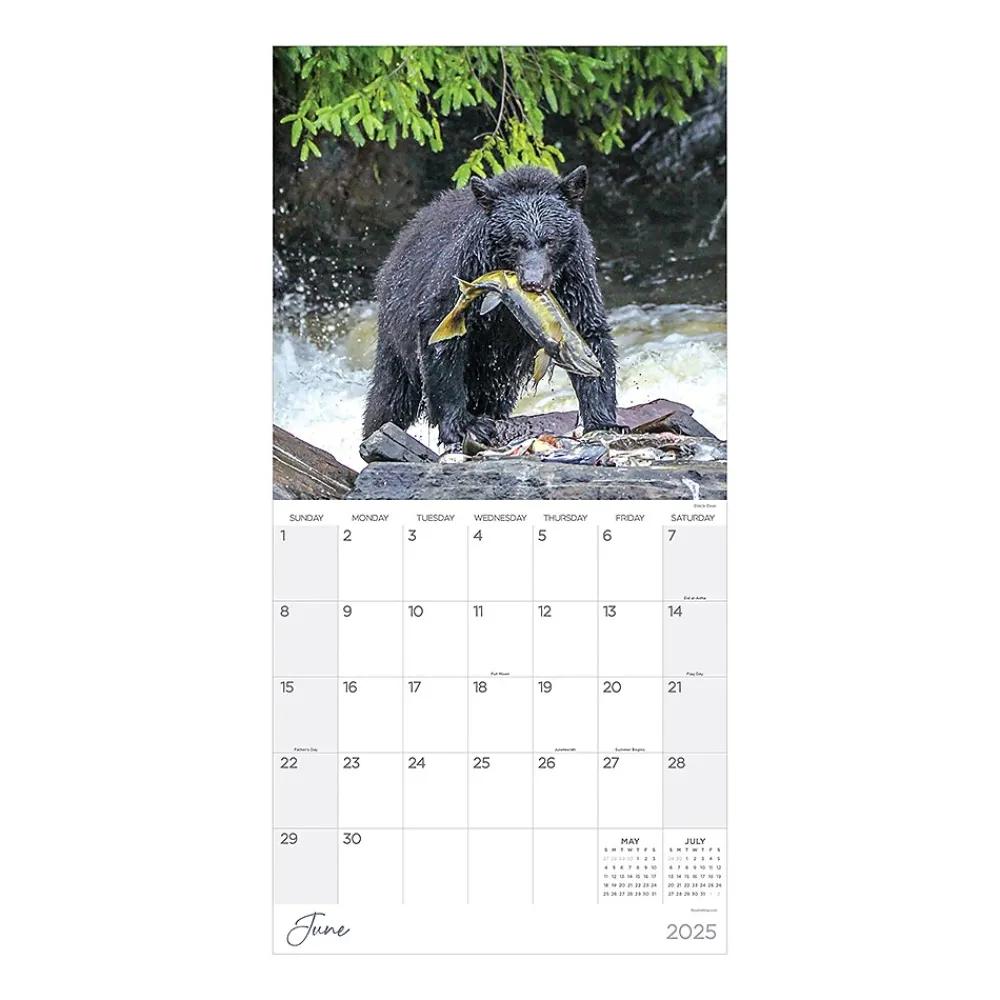 2025 Calendars|TF Publishing 2025 Wild 12" x 12" Monthly Wall Calendar (25-1032)