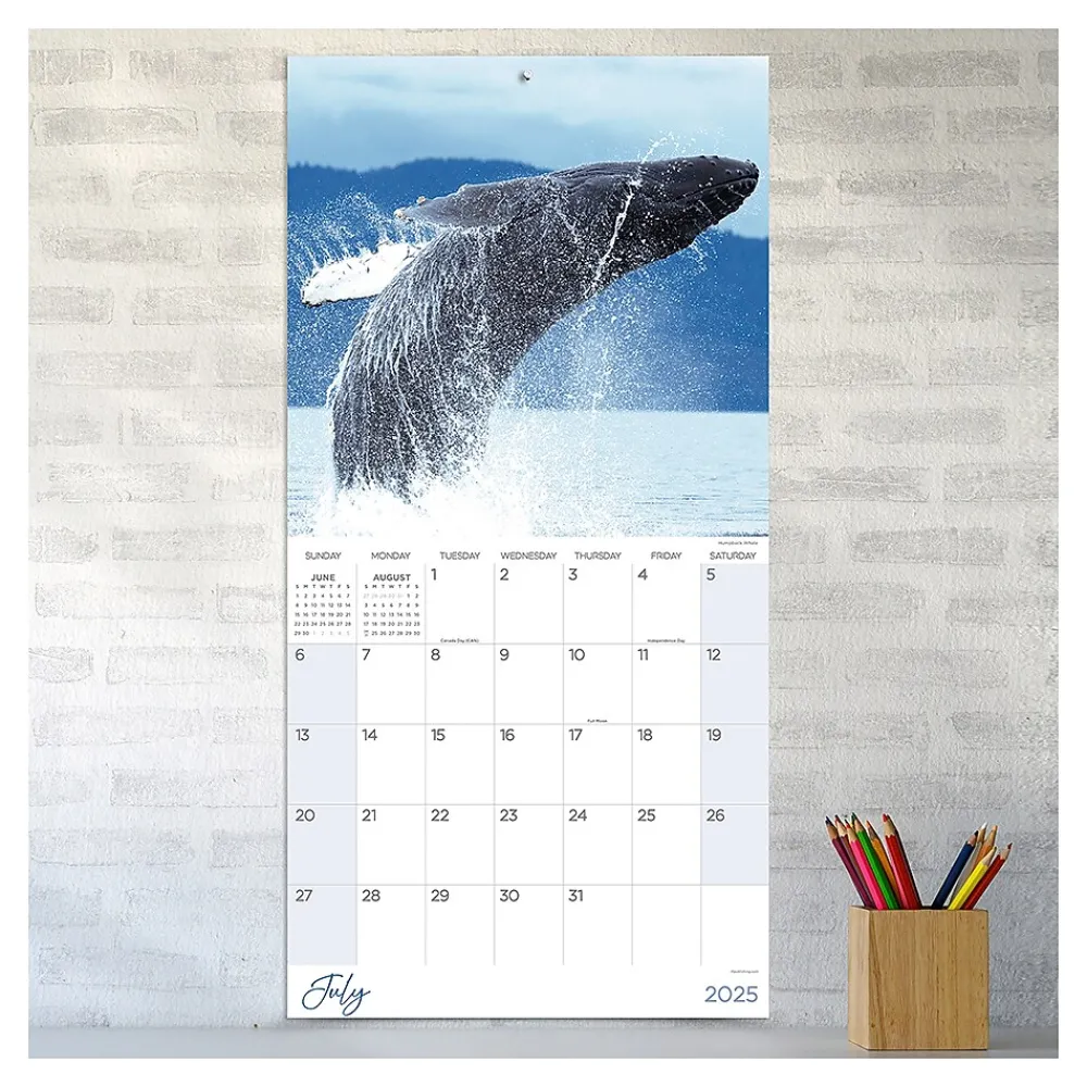 2025 Calendars|TF Publishing 2025 Wild 12" x 12" Monthly Wall Calendar (25-1032)
