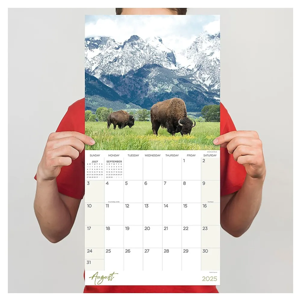 2025 Calendars|TF Publishing 2025 Wild 12" x 12" Monthly Wall Calendar (25-1032)
