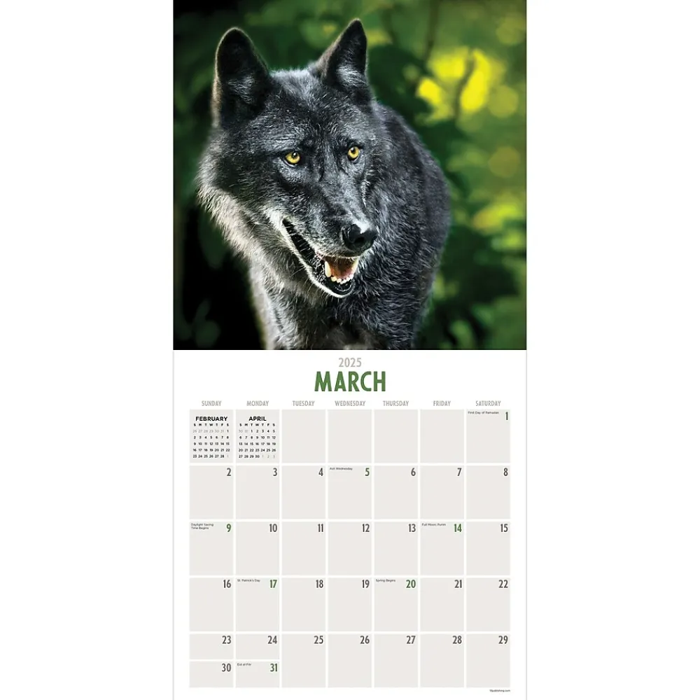 2025 Calendars|TF Publishing 2025 Wolves 12" x 12" Monthly Wall Calendar (25-1035)