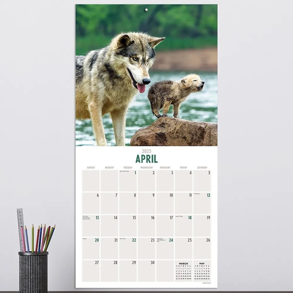 2025 Calendars|TF Publishing 2025 Wolves 12" x 12" Monthly Wall Calendar (25-1035)