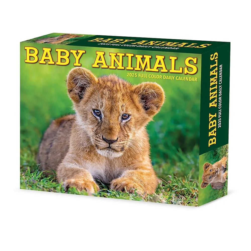 2025 Calendars|Willow Creek 2025 Baby Animals 6.2" x 5.4" Daily Desk Calendar (40607)