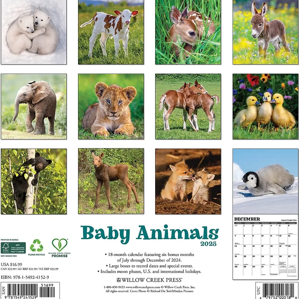 2025 Calendars|Willow Creek 2025 Baby Animals 12" x 12" Monthly Wall Calendar (41529)