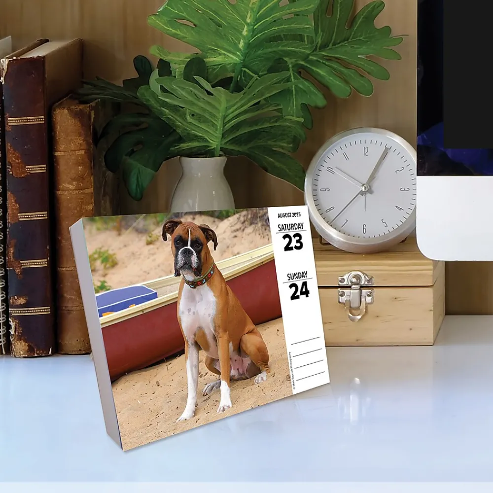 2025 Calendars|Willow Creek 2025 Boxers 6" x 5.5" Day-to-Day Calendar (40690)