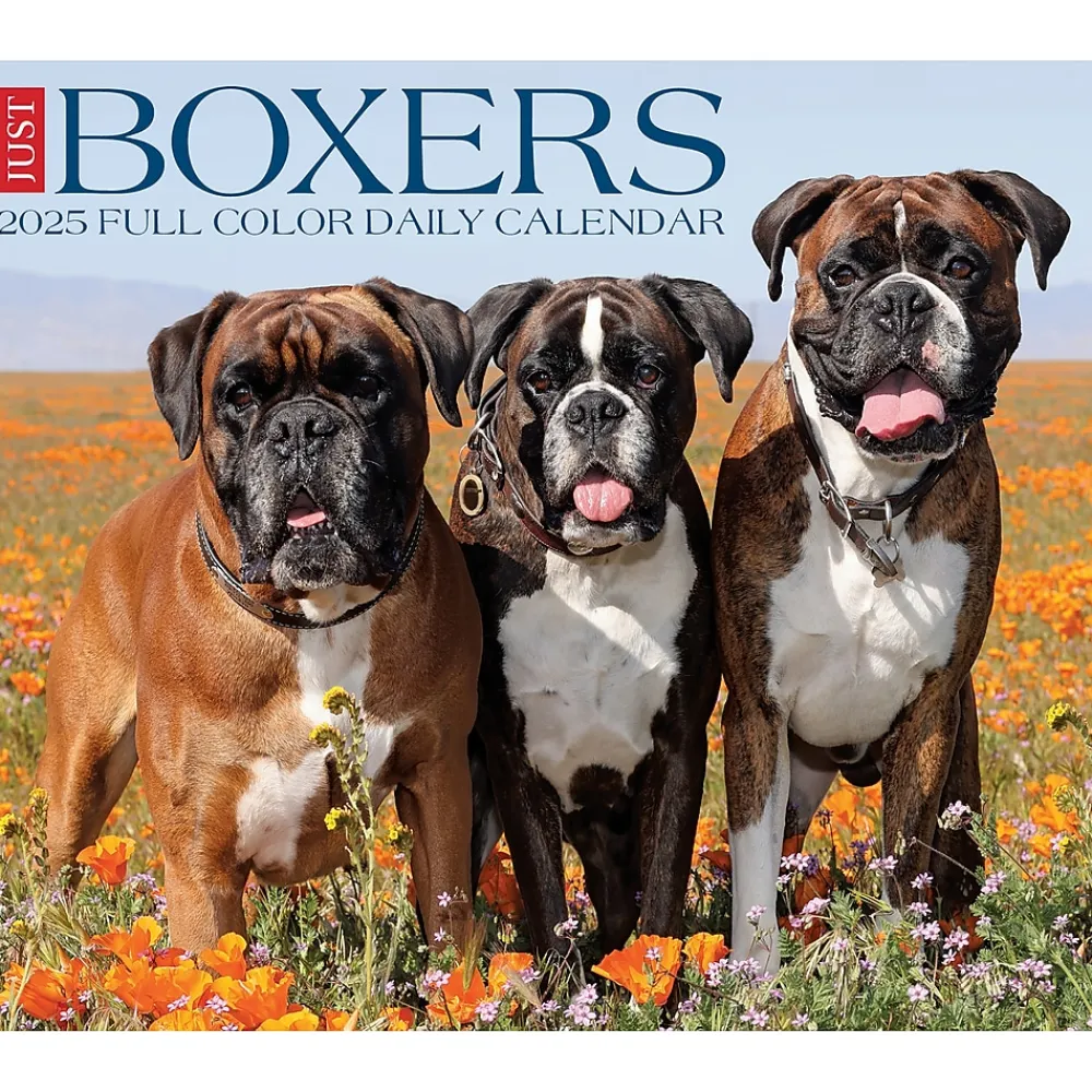 2025 Calendars|Willow Creek 2025 Boxers 6" x 5.5" Day-to-Day Calendar (40690)