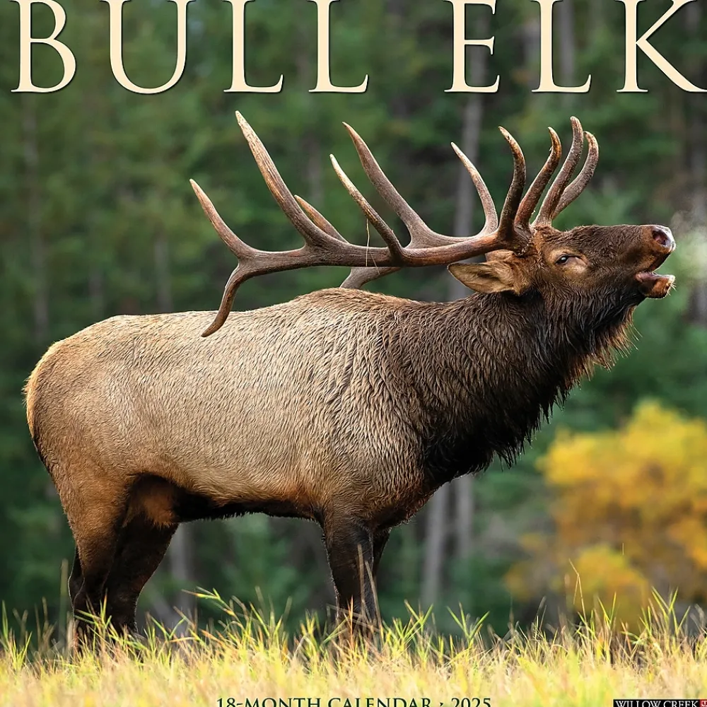 2025 Calendars|Willow Creek 2025 Bull Elk 12" x 12" Monthly Wall Calendar, Multicolor (42007)