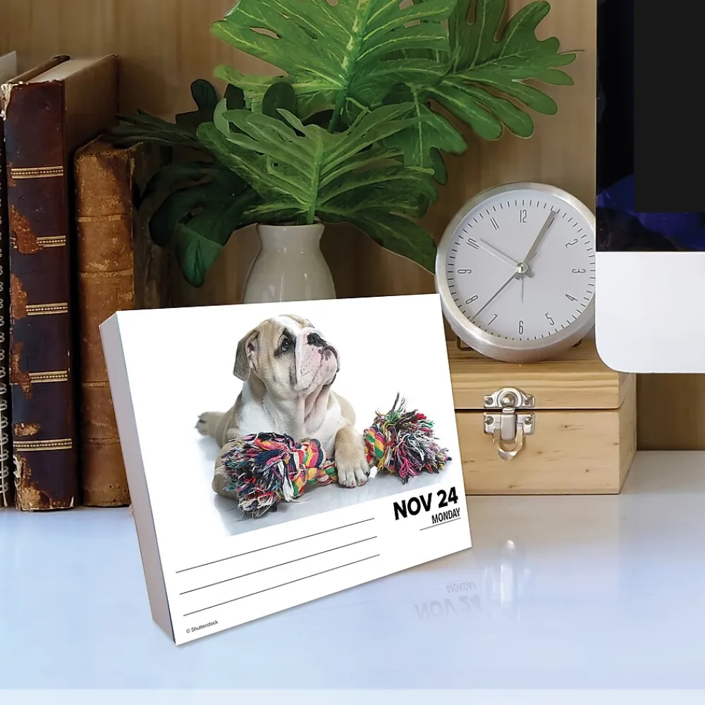 2025 Calendars|Willow Creek 2025 Bulldogs 6" x 5.5" Day-to-Day Calendar, Multicolor (40706)