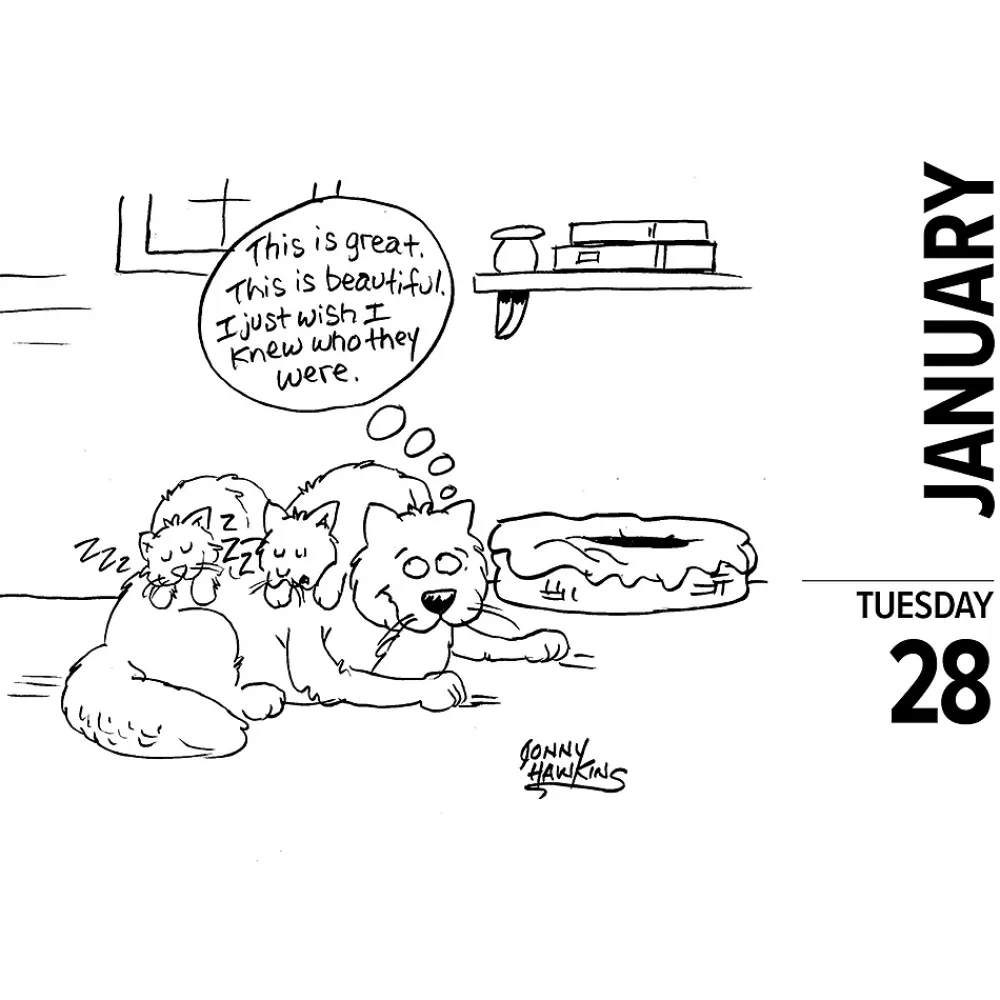 2025 Calendars|Willow Creek 2025 Cat Cartoon-A-Day by Jonny Hawkins 6" x 5.5" Day-to-Day Calendar, Multicolor (40713)
