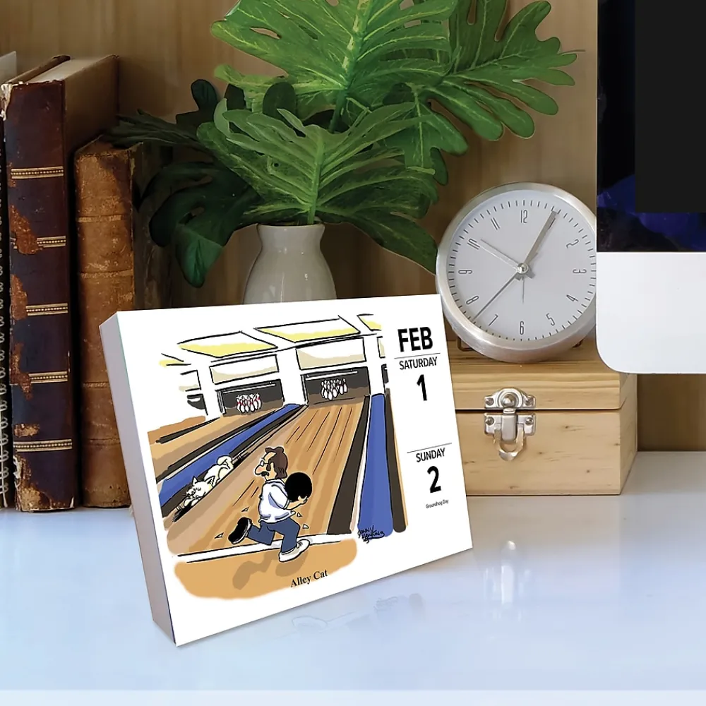 2025 Calendars|Willow Creek 2025 Cat Cartoon-A-Day by Jonny Hawkins 6" x 5.5" Day-to-Day Calendar, Multicolor (40713)