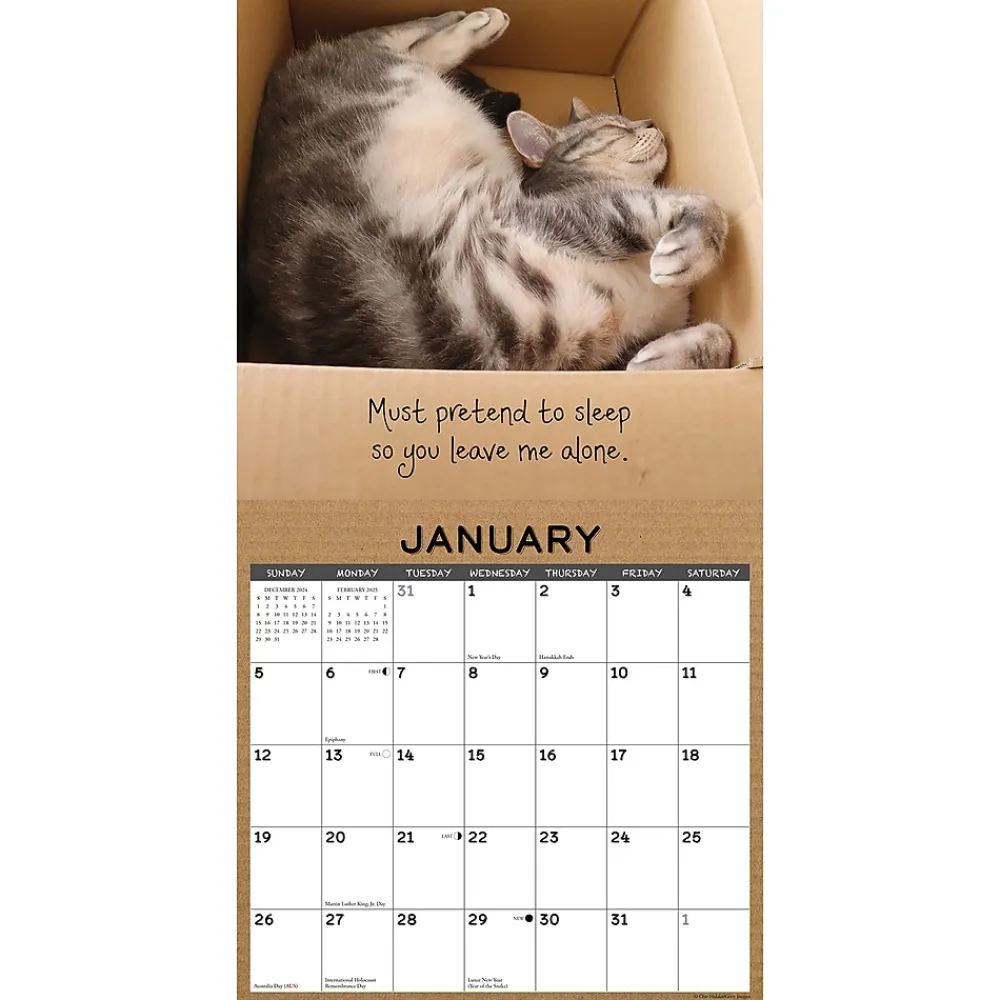 2025 Calendars|Willow Creek 2025 Cat in a Box 12" x 12" Monthly Wall Calendar (42182)