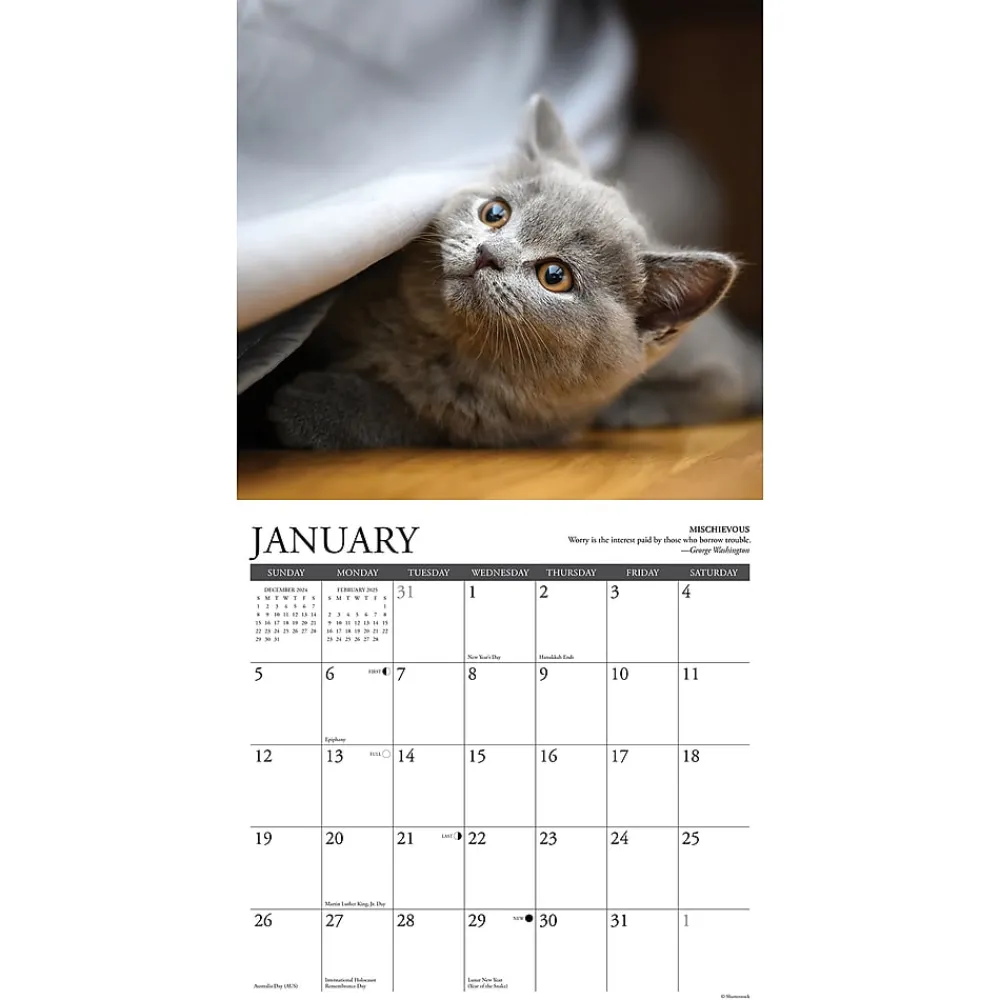 2025 Calendars|Willow Creek 2025 Cat Rules 12" x 12" Monthly Wall Calendar (42199)
