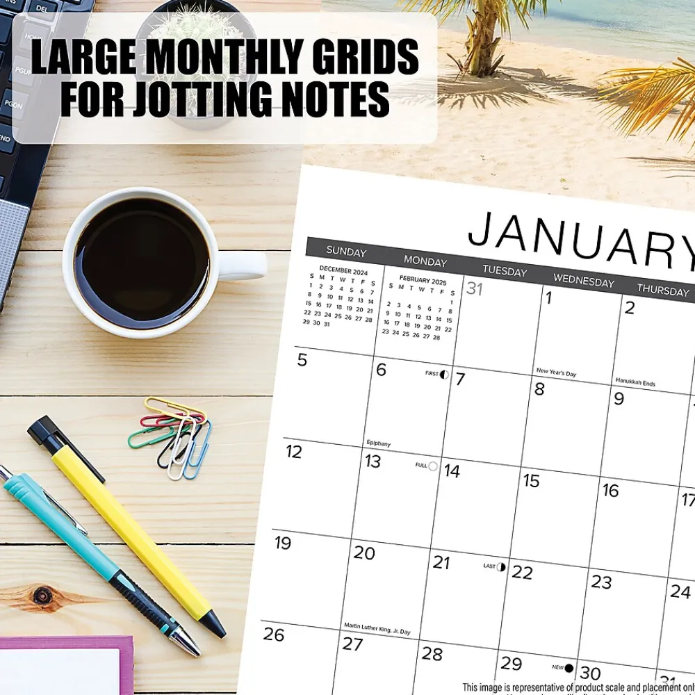 2025 Calendars|Willow Creek 2025 Cat Rules 12" x 12" Monthly Wall Calendar (42199)