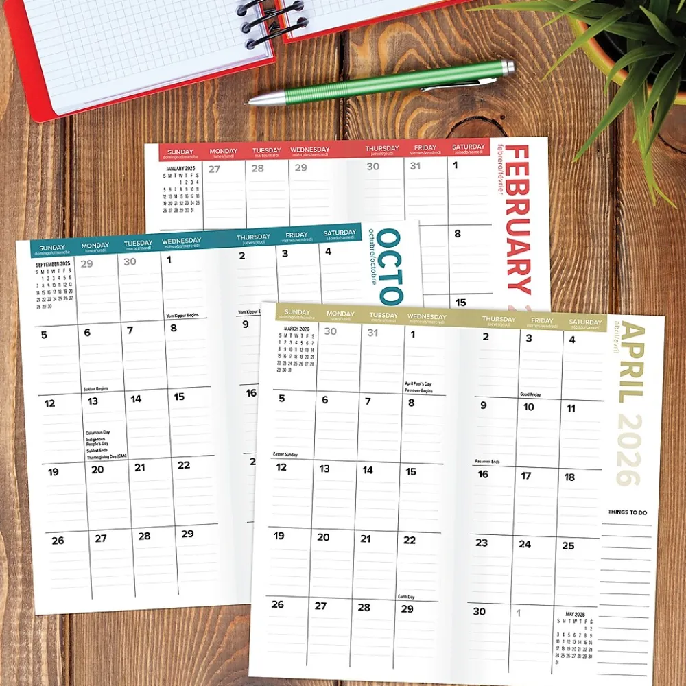 2025 Planners|Willow Creek 2025 Cat-astrophe 3.5" x 6.5" Monthly Planner Cover, Multicolored (46906)