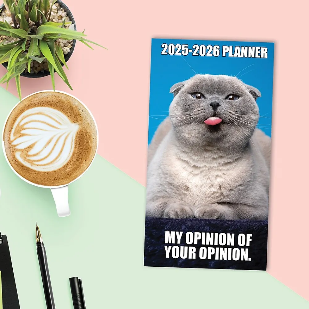 2025 Planners|Willow Creek 2025 Cat-astrophe 3.5" x 6.5" Monthly Planner Cover, Multicolored (46906)