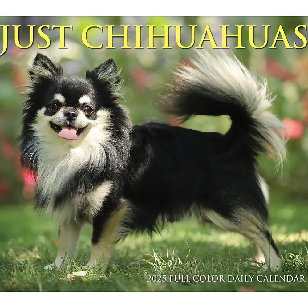2025 Calendars|Willow Creek 2025 Chihuahuas 6" x 5.5" Day-to-Day Calendar, Multicolor (40737)
