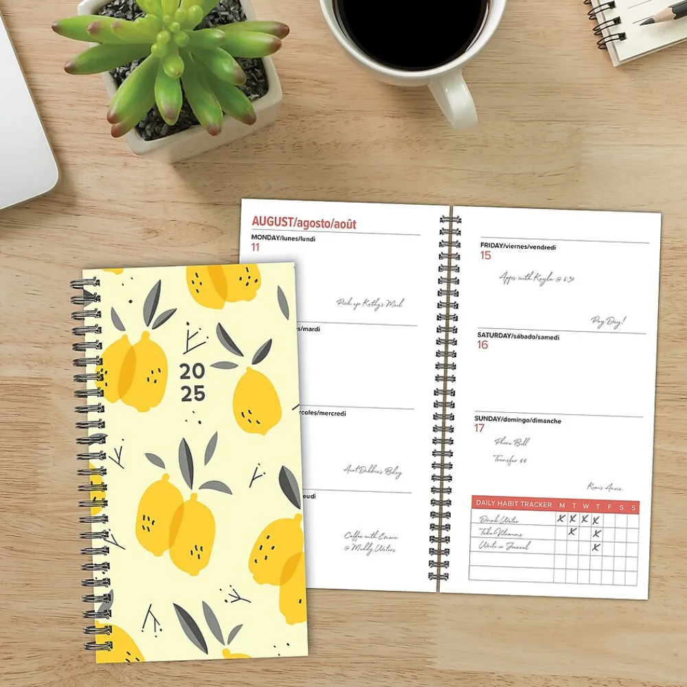 2025 Planners|Willow Creek 2025 Citrus Grove 3.5" x 6.5" Academic Year Weekly Planner Cover, Multicolored (48726)