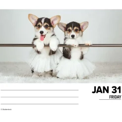 2025 Calendars|Willow Creek 2025 Corgis (Dogs and Puppies) 6