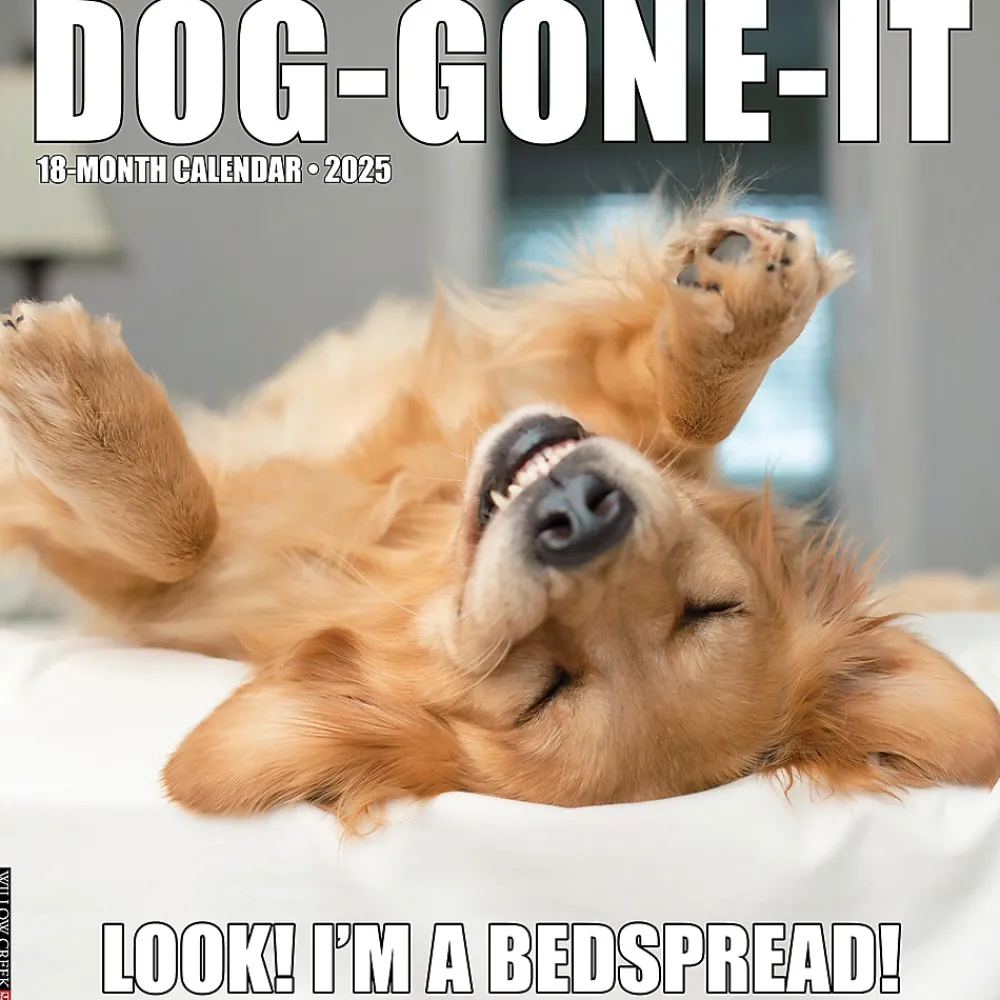 2025 Calendars|Willow Creek 2025 Dog-Gone-It 12" x 12" Monthly Wall Calendar (42724)